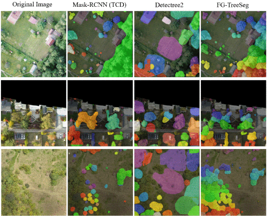 FG-TreeSeg: Flow-Guided Tree Crown Segmentation Without Instance Annotations